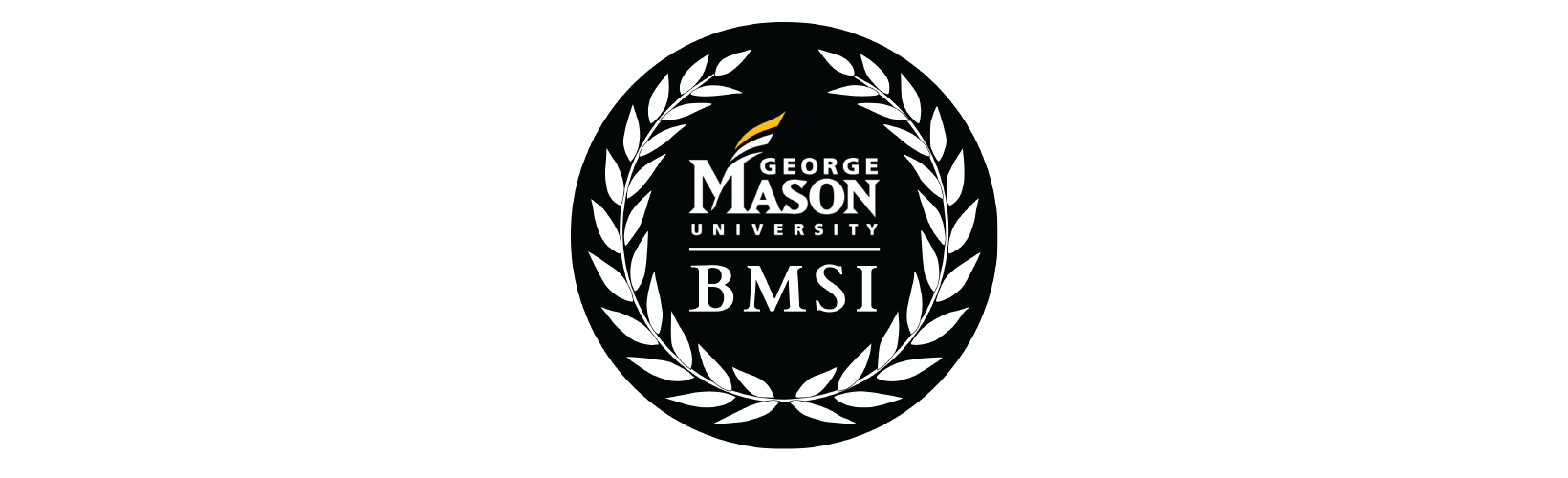 BMSI Logo Website-01
